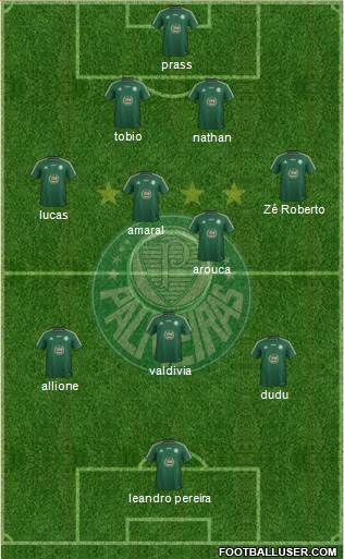 SE Palmeiras Formation 2015