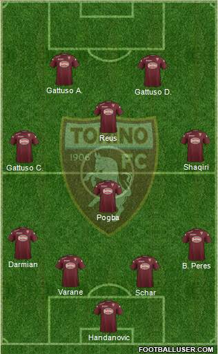 Torino Formation 2015