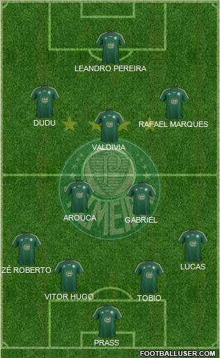 SE Palmeiras Formation 2015