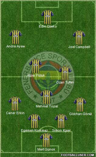 Fenerbahçe SK Formation 2015