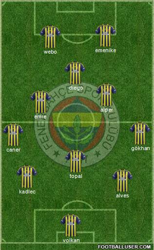 Fenerbahçe SK Formation 2015