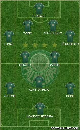 SE Palmeiras Formation 2015