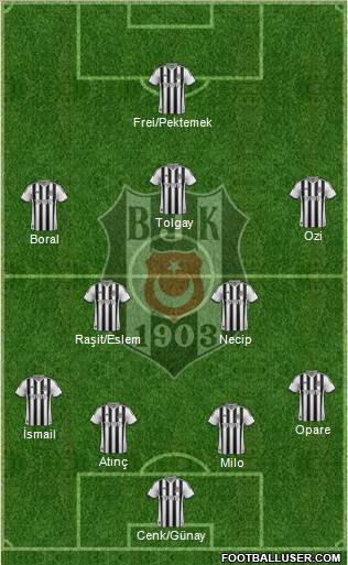 Besiktas JK Formation 2015
