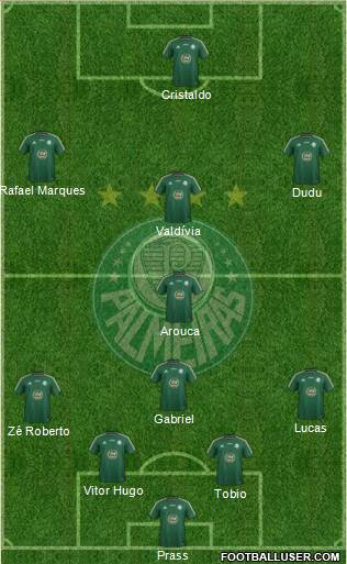 SE Palmeiras Formation 2015