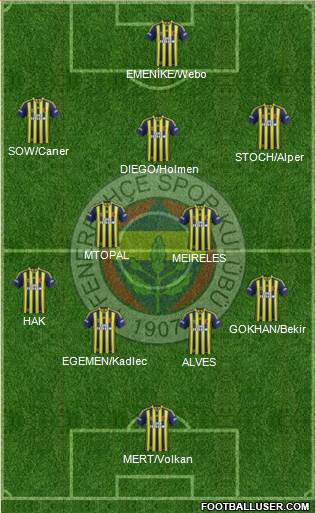 Fenerbahçe SK Formation 2015