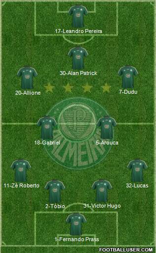 SE Palmeiras Formation 2015