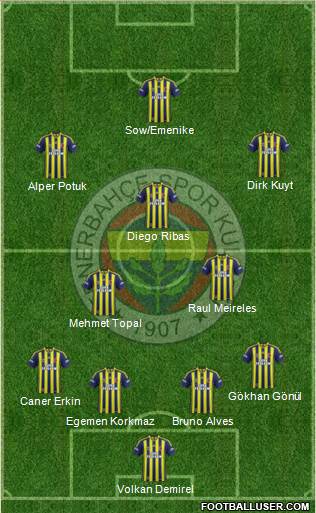 Fenerbahçe SK Formation 2015