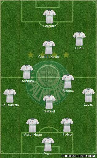 SE Palmeiras Formation 2015