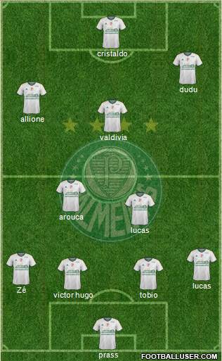 SE Palmeiras Formation 2015