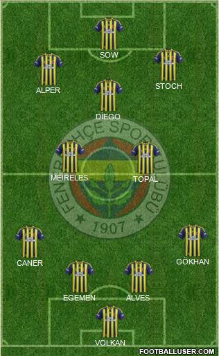 Fenerbahçe SK Formation 2015