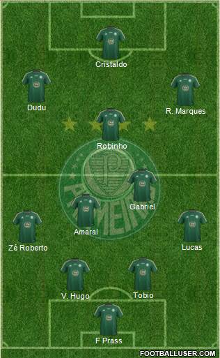 SE Palmeiras Formation 2015