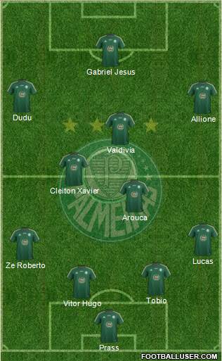 SE Palmeiras Formation 2015
