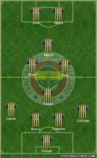 Fenerbahçe SK Formation 2015