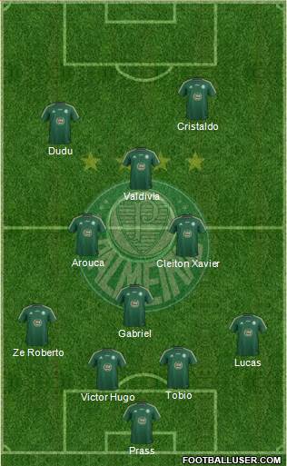 SE Palmeiras Formation 2015