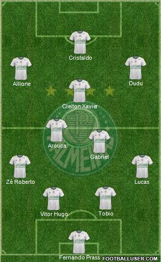 SE Palmeiras Formation 2015