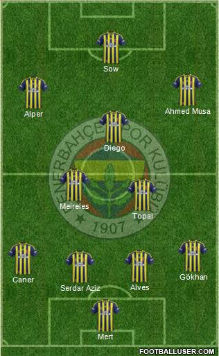 Fenerbahçe SK Formation 2015