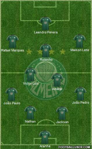 SE Palmeiras Formation 2015