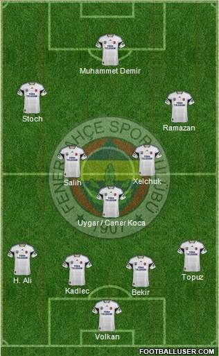 Fenerbahçe SK Formation 2015