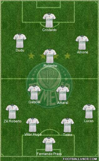 SE Palmeiras Formation 2015
