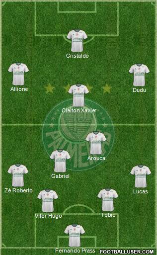 SE Palmeiras Formation 2015
