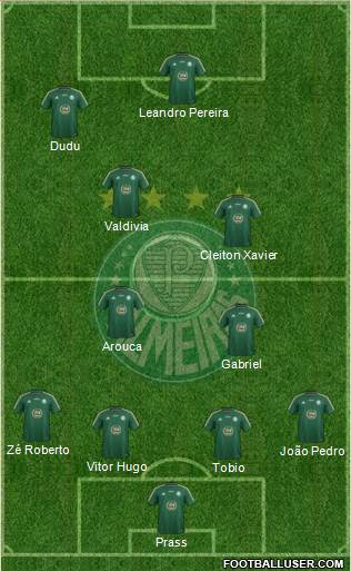 SE Palmeiras Formation 2015
