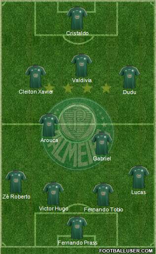 SE Palmeiras Formation 2015