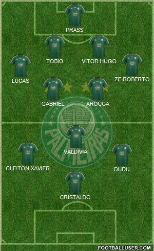 SE Palmeiras Formation 2015