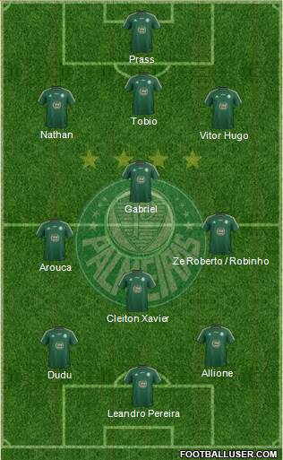SE Palmeiras Formation 2015