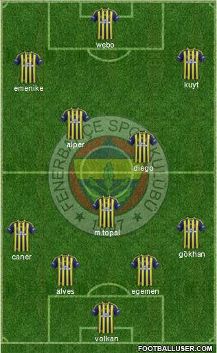Fenerbahçe SK Formation 2015