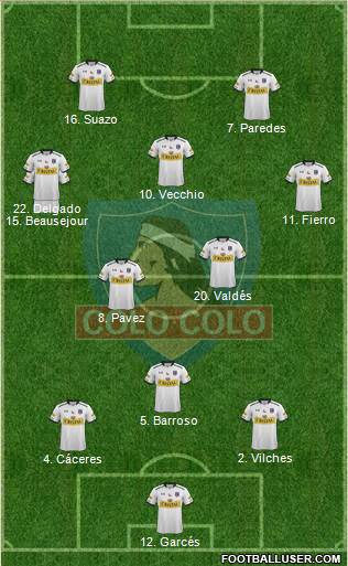 CSD Colo Colo Formation 2015