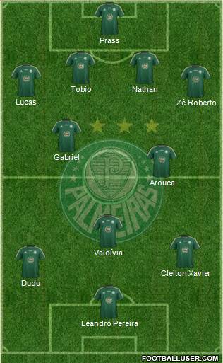 SE Palmeiras Formation 2015