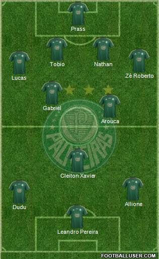 SE Palmeiras Formation 2015