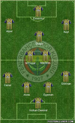 Fenerbahçe SK Formation 2015