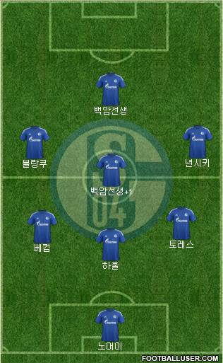 FC Schalke 04 Formation 2015