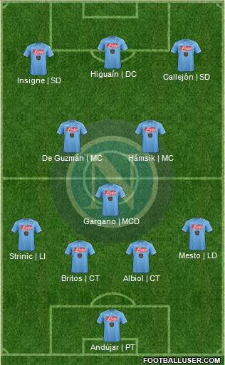 Napoli Formation 2015