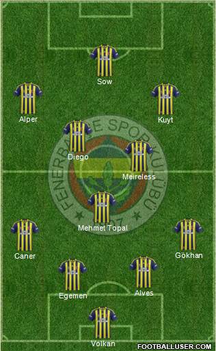 Fenerbahçe SK Formation 2015