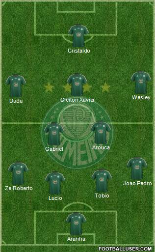 SE Palmeiras Formation 2015