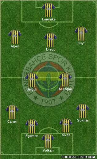 Fenerbahçe SK Formation 2015