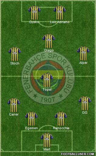 Fenerbahçe SK Formation 2015