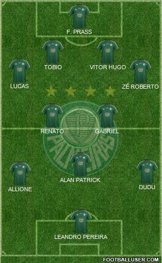 SE Palmeiras Formation 2015