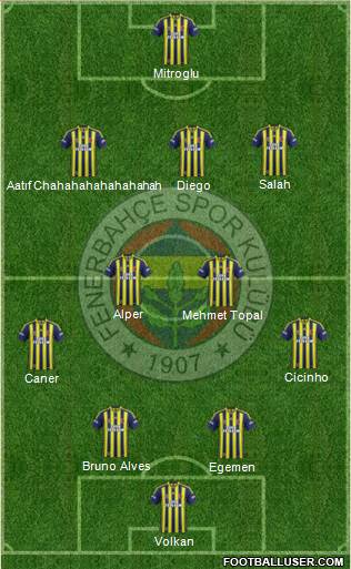 Fenerbahçe SK Formation 2015
