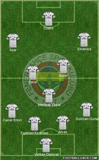 Fenerbahçe SK Formation 2015