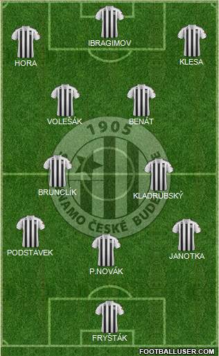 Ceske Budejovice Formation 2015