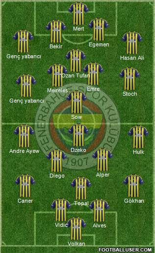 Fenerbahçe SK Formation 2015