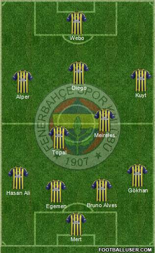 Fenerbahçe SK Formation 2015