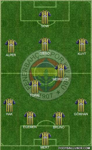 Fenerbahçe SK Formation 2015