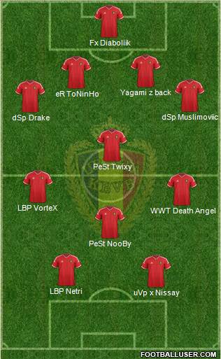 Belgium Formation 2015