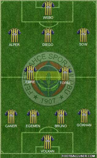 Fenerbahçe SK Formation 2015