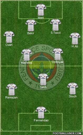 Fenerbahçe SK Formation 2015