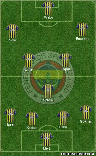 Fenerbahçe SK Formation 2015
